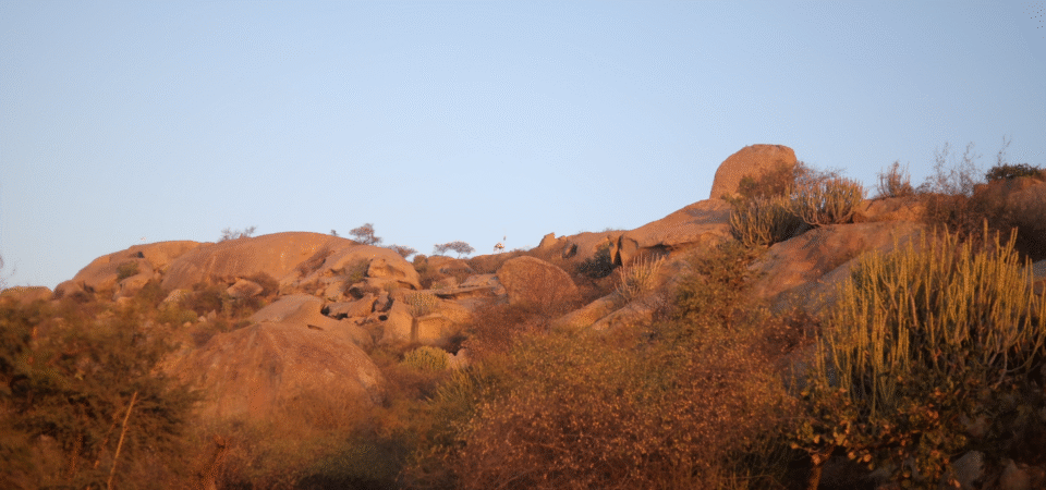 Screenshot 2025-07-12 171832 (FILEminimizer)