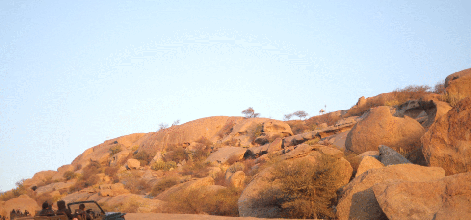 Screenshot 2025-07-12 171907 (FILEminimizer)