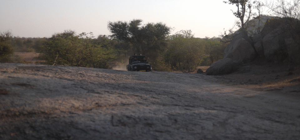 Screenshot 2025-07-12 172231 (FILEminimizer)