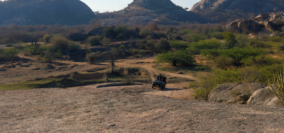 Screenshot 2025-07-12 172904 (FILEminimizer)