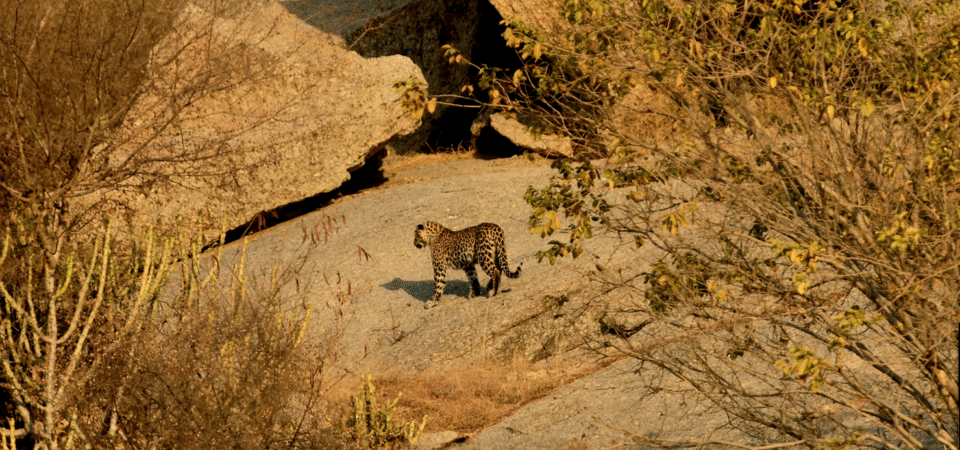 Screenshot 2025-07-12 180401 (FILEminimizer)