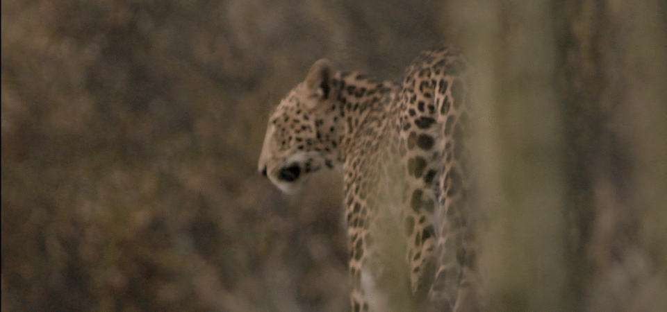 Screenshot 2025-07-12 180747 (FILEminimizer)