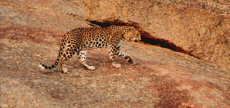 Screenshot 2025-07-12 180947 (FILEminimizer)