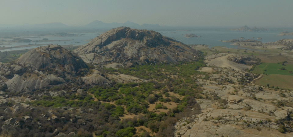 Screenshot 2025-07-12 182556 (FILEminimizer)