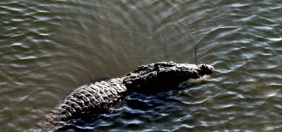 Screenshot 2025-07-12 183934 (FILEminimizer)