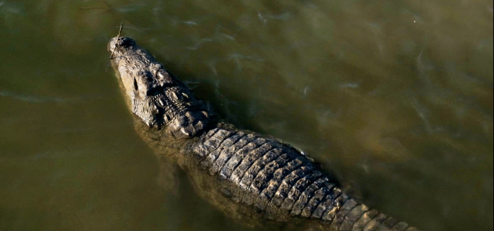 Screenshot 2025-07-12 184003 (FILEminimizer)