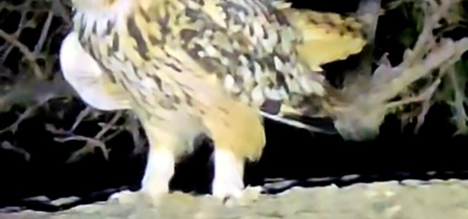 Screenshot_20250717_015924_Gallery (FILEminimizer)