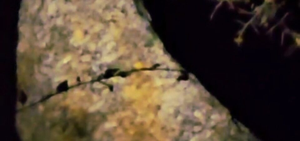 Screenshot_20250717_020121_Gallery (FILEminimizer)